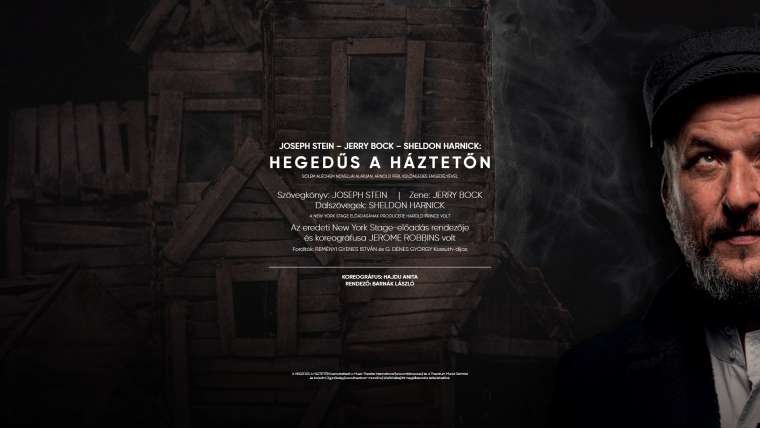 Hegedűs a háztetőn