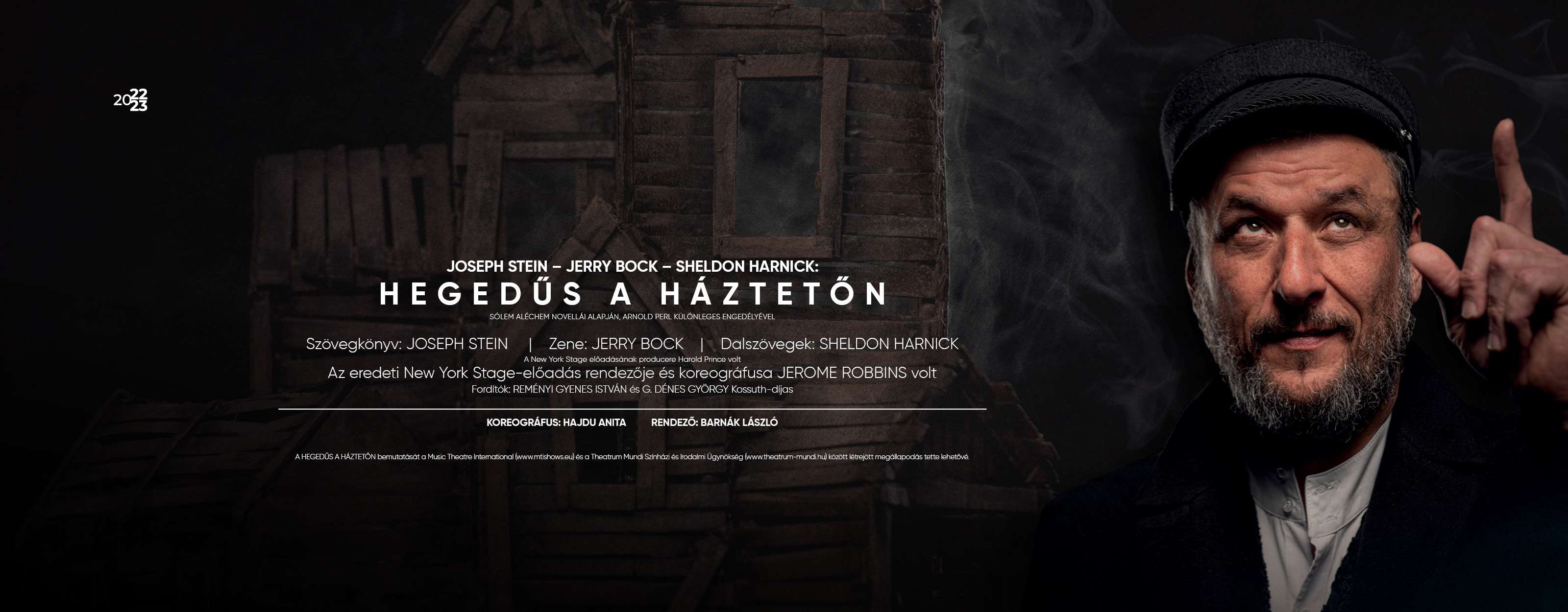 Hegedűs a háztetőn