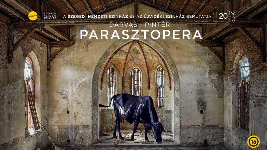 Közönségtalálkozó 